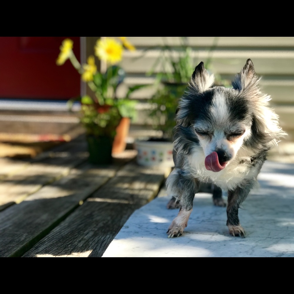 Meet your Posher, Candace.